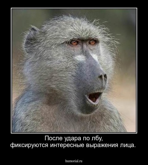 После удара по лбу, фиксируются интересные выражения лица.