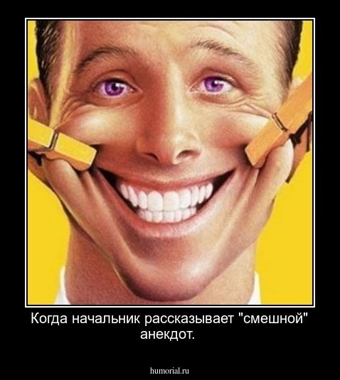 Когда начальник рассказывает "смешной" анекдот.