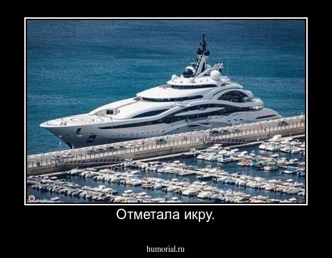 Отметала икру.