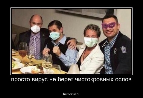 просто вирус не берет чистокровных ослов
