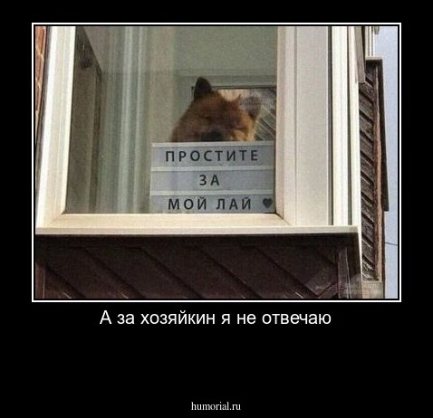 А за хозяйкин я не отвечаю

