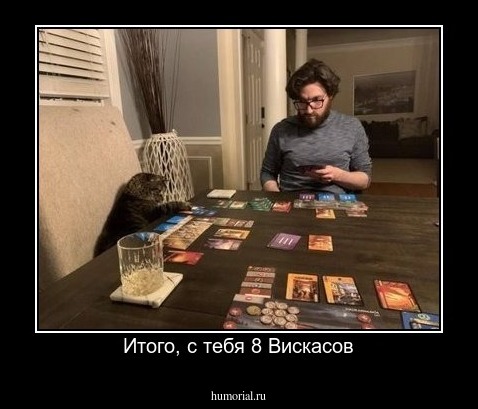 Итого, с тебя 8 Вискасов