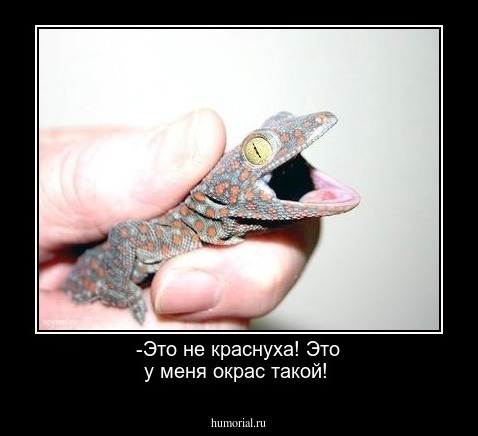 -Это не краснуха! Это у меня окрас такой!