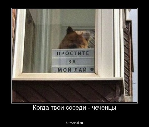 Когда твои соседи - чеченцы