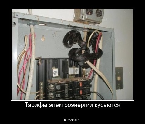 Тарифы электроэнергии кусаются