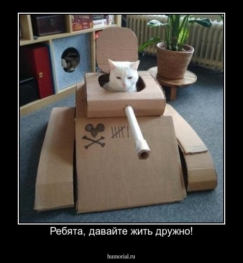 Ребята, давайте жить дружно!