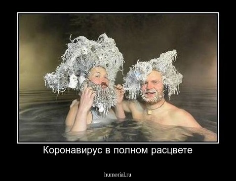 Коронавирус в полном расцвете