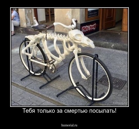 Тебя только за смертью посылать!