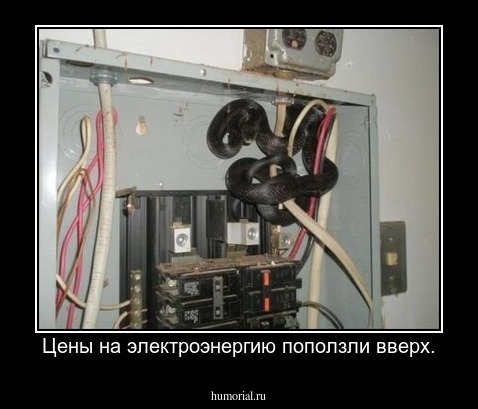 Цены на электроэнергию поползли вверх.