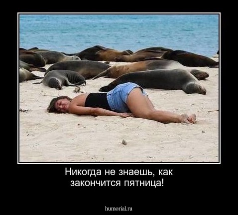Никогда не знаешь, как закончится пятница!