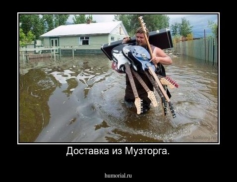 Доставка из Музторга.