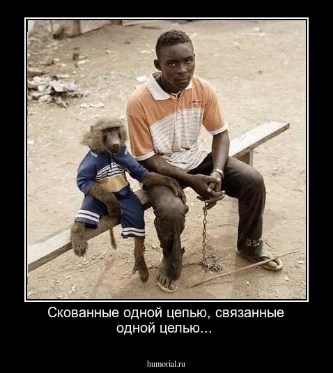 Скованные одной цепью, связанные одной целью...
