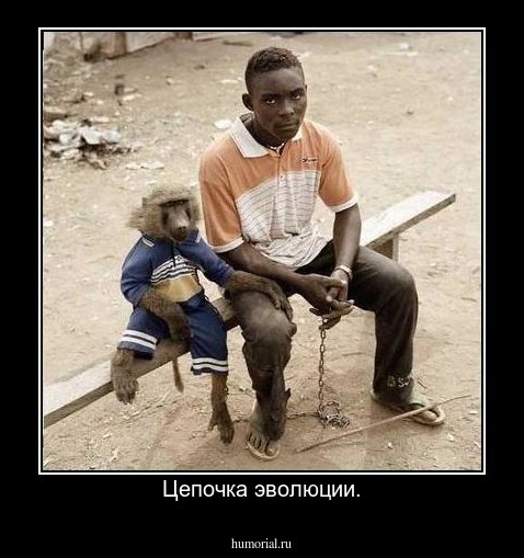 Цепочка эволюции.