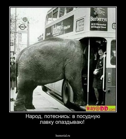 Народ, потеснись: в посудную лавку опаздываю!
