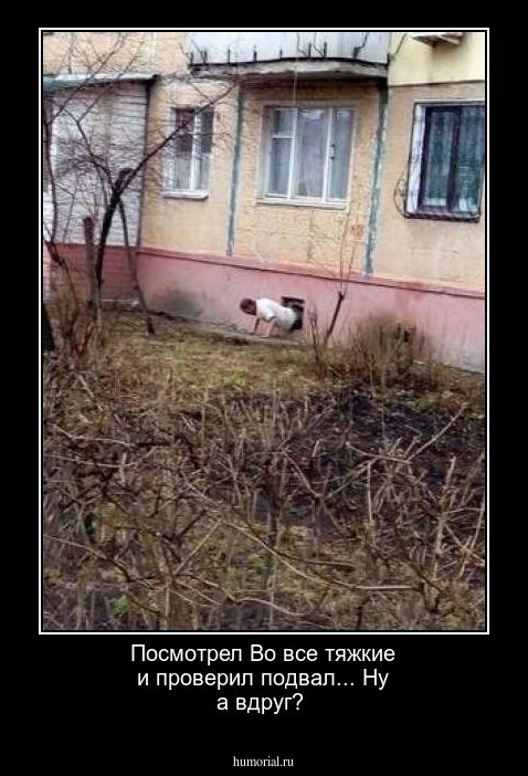 Посмотрел Во все тяжкие и проверил подвал... Ну а вдруг?