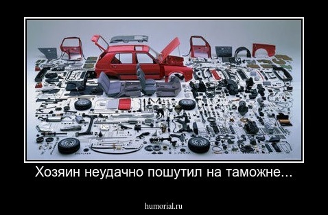 Хозяин неудачно пошутил на таможне...