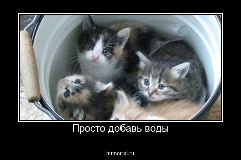 Просто добавь воды