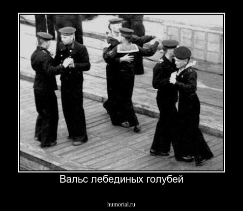 Вальс лебединых голубей