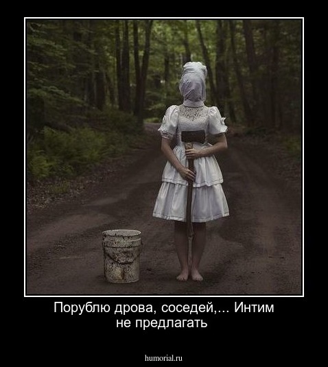 Порублю дрова, соседей,... Интим не предлагать