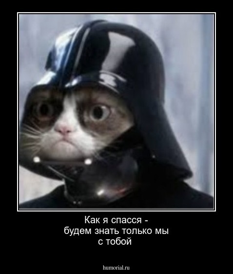 Как я спасся - будем знать только мы с тобой