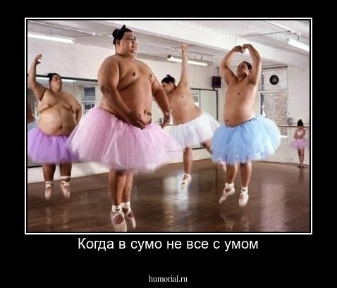 Когда в сумо не все с умом