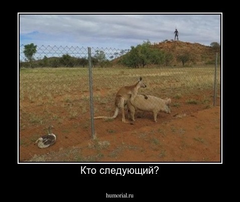 Кто следующий?