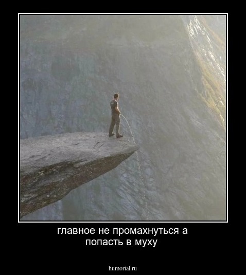главное не промахнуться а попасть в муху 