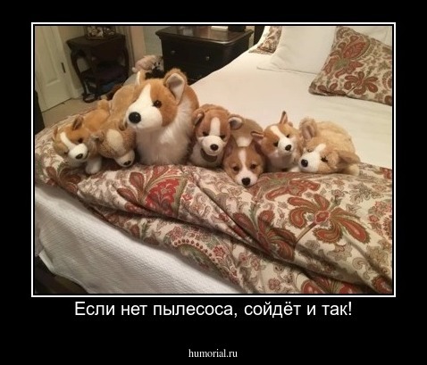 Если нет пылесоса, сойдёт и так!