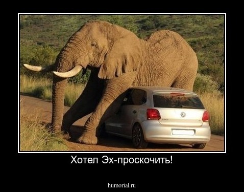 Хотел Эх-проскочить!