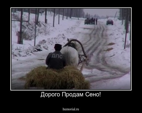 Дорого Продам Сено!