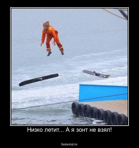 Низко летит... А я зонт не взял!