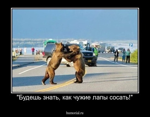 "Будешь знать, как чужие лапы сосать!"