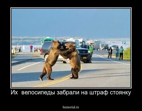 Их  велосипеды забрали на штраф стоянку