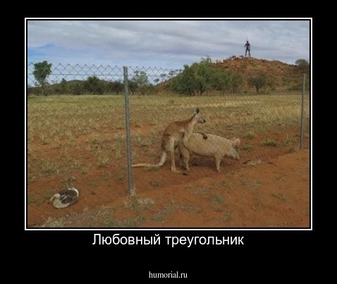 Любовный треугольник