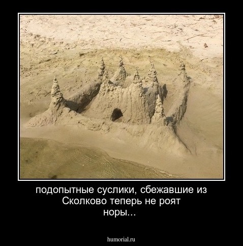 подопытные суслики, сбежавшие из Сколково теперь не роят норы... 