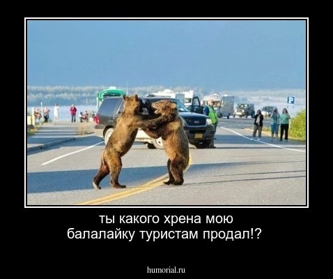 ты какого хрена мою балалайку туристам продал!?