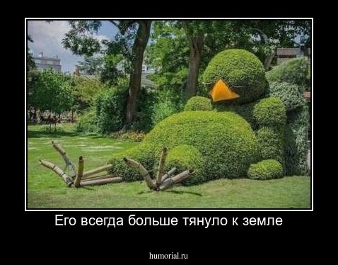 Его всегда больше тянуло к земле