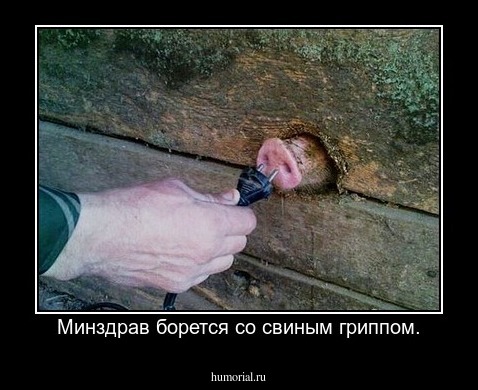 Минздрав борется со свиным гриппом.