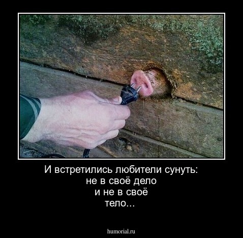 И встретились любители сунуть: не в своё дело и не в своё тело...