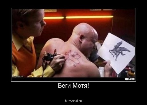 Беги Мотя!