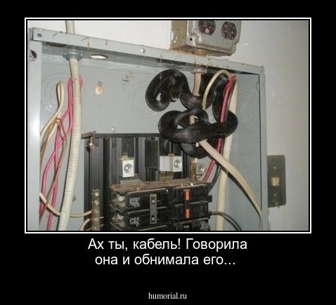 Ах ты, кабель! Говорила она и обнимала его...