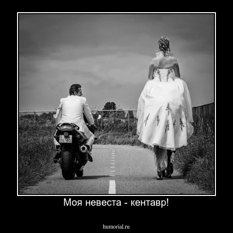 Моя невеста - кентавр!