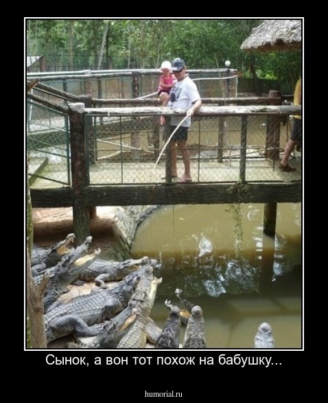 Сынок, а вон тот похож на бабушку...