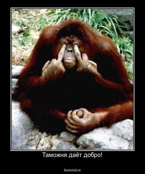 Таможня даёт добро!