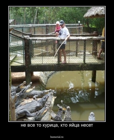 не все то курица, кто яйца несет
