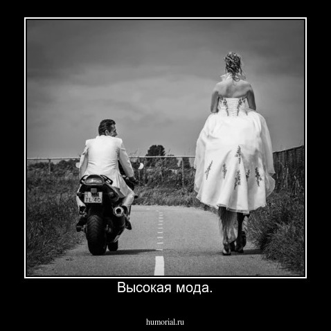 Высокая мода.