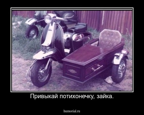Привыкай потихонечку, зайка.