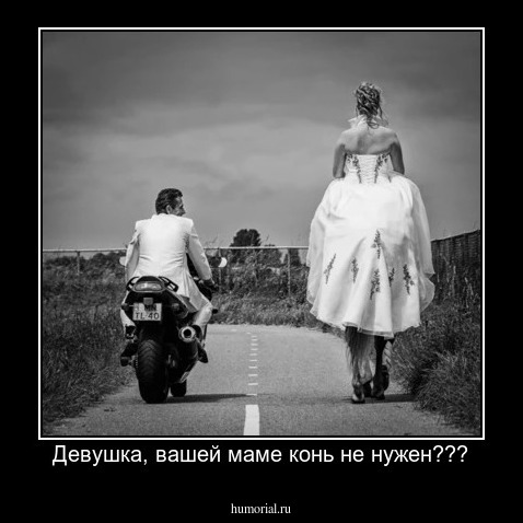 Девушка, вашей маме конь не нужен???