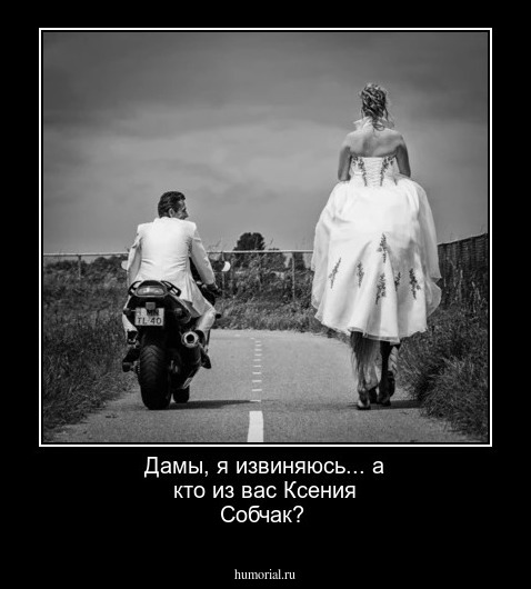 Дамы, я извиняюсь... а кто из вас Ксения Собчак?