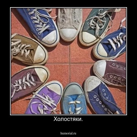 Холостяки.